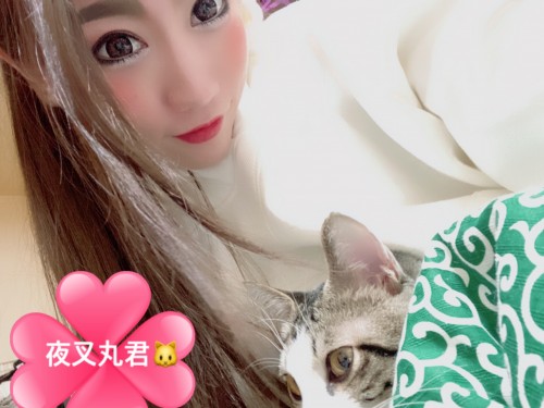 広瀬 まおのブログ：愛猫ちゃんฅ•ω•ฅ💗