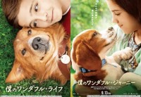 りほのブログ：犬転生しまくり