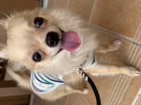 りほのブログ：?