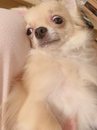 りほのブログ：眠