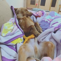 はづきのブログ：おっぴろげ~