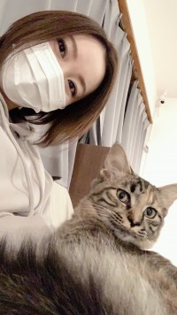 りほのブログ：猫さん(2回目)