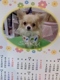 りほのブログ：佐久間さん