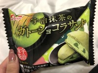 あやめのブログ：大好きな抹茶?