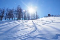 あすかのブログ：寒い❄️❄️