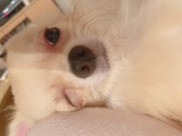 りほのブログ：?