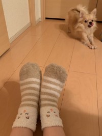 りほのブログ：さっくんの顔には突っ込むな