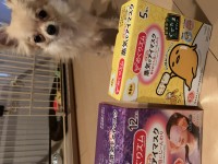 りほのブログ：めぐリズム