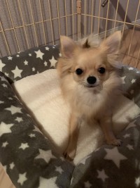 りほのブログ：じゃあ寝るなぁー