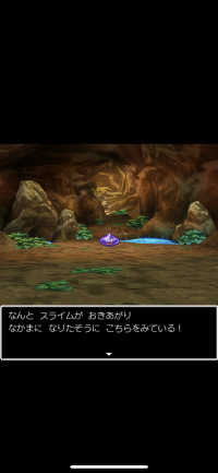 セリのブログ：DQV