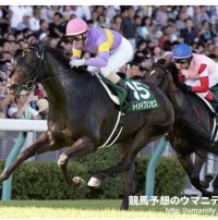 かれんのブログ：今日の馬はー？( ´ ▽ ` )